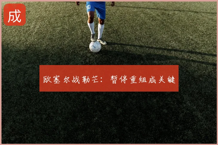 欧塞尔战勒芒:暂停重组成关键